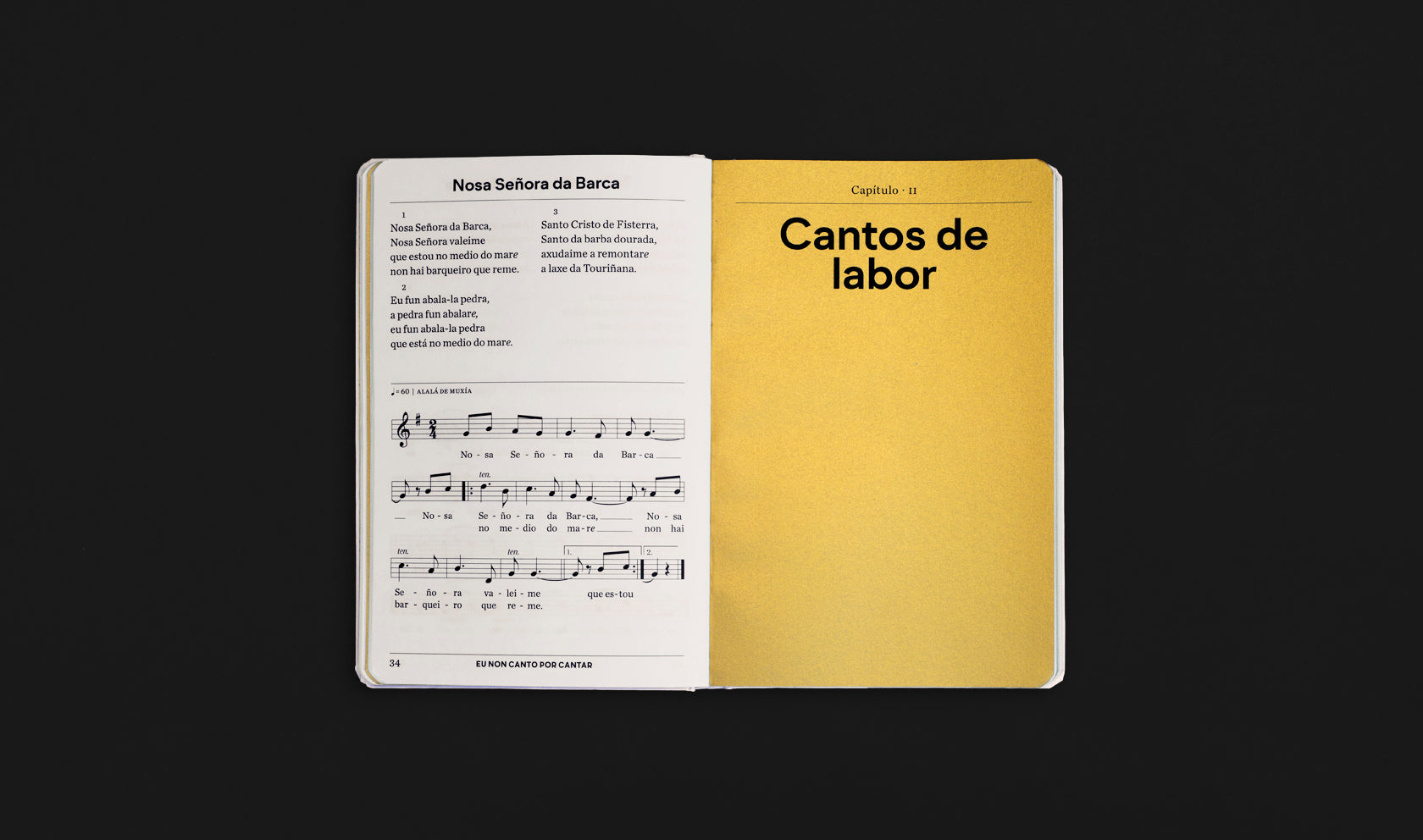 Eu non canto por cantar Fabulatorio Manuel Rico Anton Santamarina
