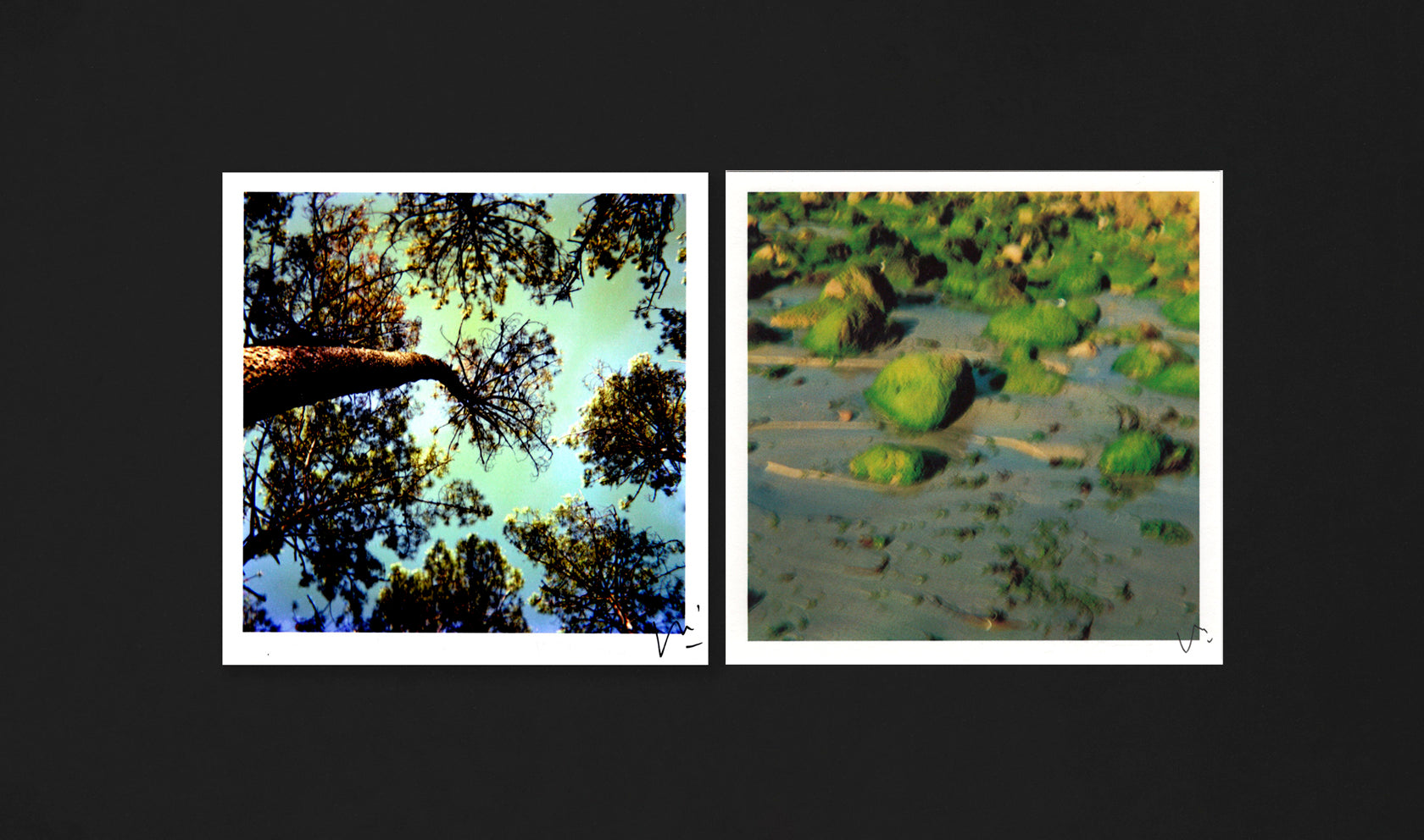 [Pack] Bosque animado + Algo, nada, siempre<br/>Vari Caramés