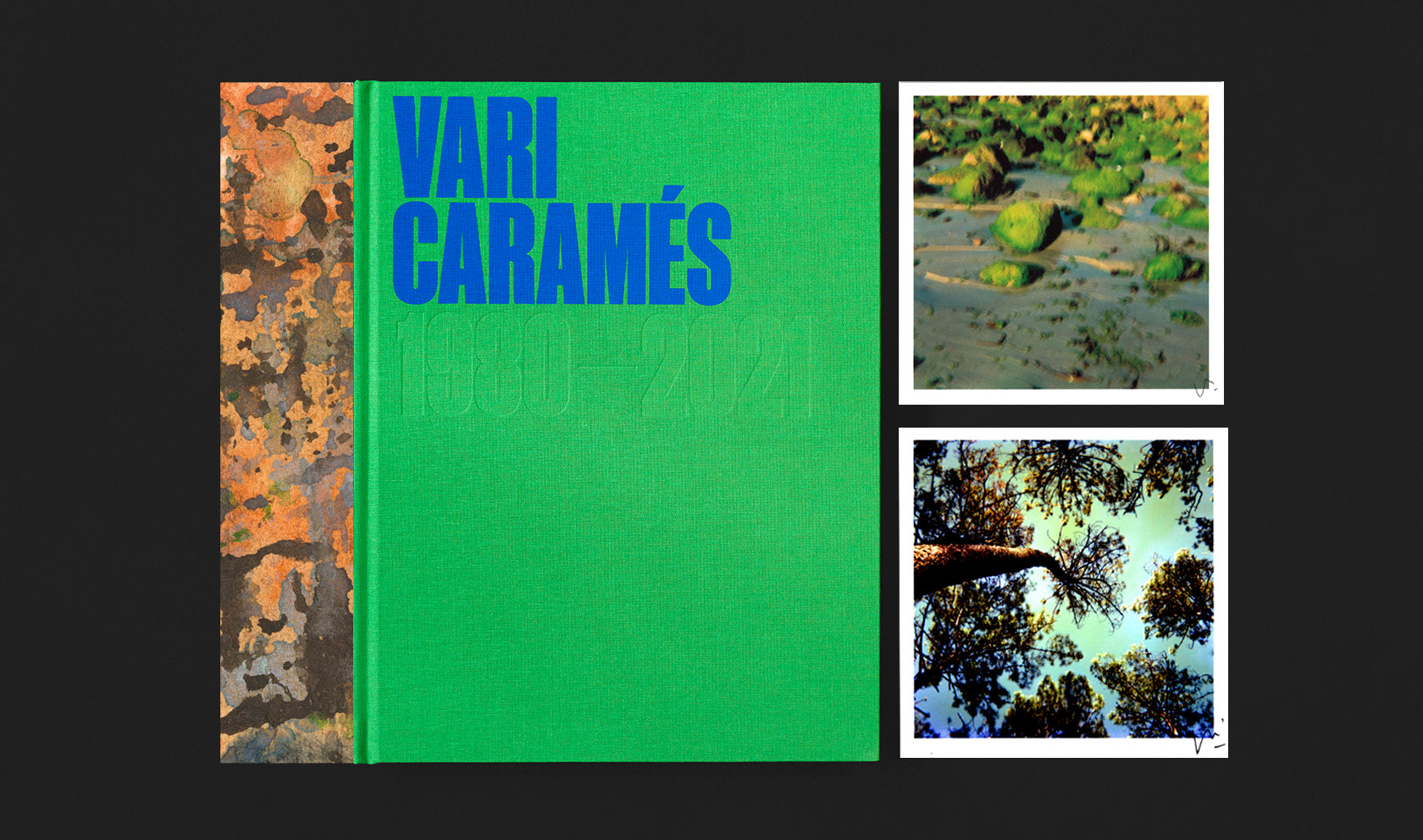 [Pack] Bosque animado + Algo, nada, siempre<br/>Vari Caramés