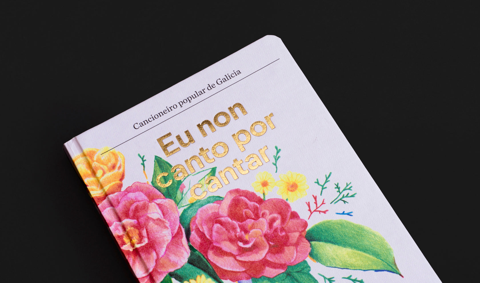 Eu non canto por cantar Fabulatorio Anton Santamarina Manuel Rico